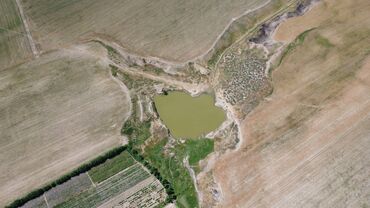 Сельхоз предприятия: 550 соток, Действующий, С оборудованием, Электричество — 8