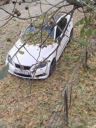 тунуке бу: Lexus IS: 2009 г., 2.5 л, Автомат, Бензин, Седан — 3