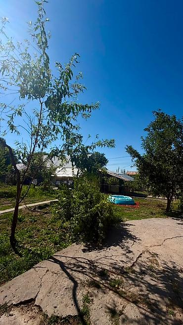 иссык куль солнышко: 🏡 Продается уютный дом с участком в г. Шопоков! 📍 Чуйская область, г — 4