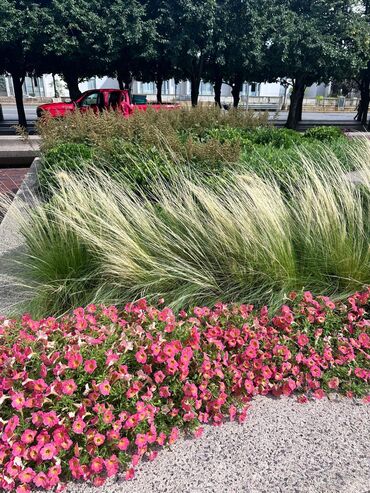 Другие удобства для дома и сада: Другие удобства для дома и сада — 9