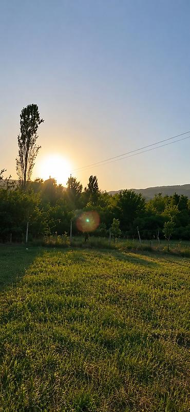 xudaferin korpusu cekmek: 50 sot, Mülkiyyətçi, Bələdiyyə — 6