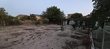 10 sot, Tikinti, Maklerlər narahat etməsin, Kupça (Çıxarış)