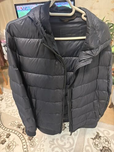 Köynəklər: Kurtka, Bolonka, Qış, Massimo Dutti, XL (EU 42)
