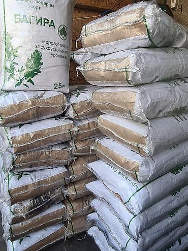 Кормовые растения: Беде урук, эспарцет урук сатылат, жугору урук кепилдиги менен дун жана — 8