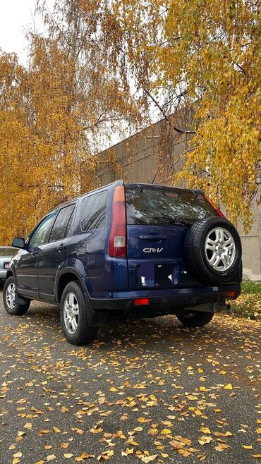 датчик детонации хонда: Honda CR-V: 2003 г., 2.4 л, Автомат, Газ, Кроссовер