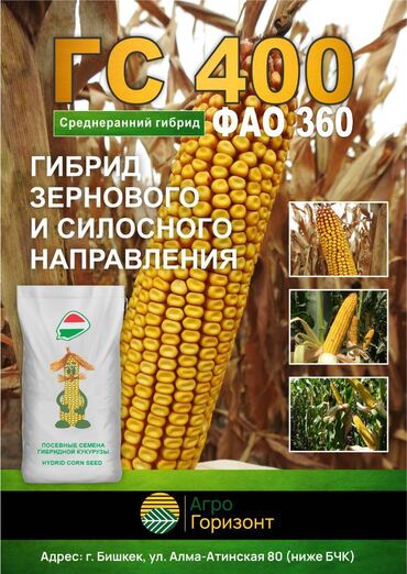 семена кукурузы гидро: Семена: Кукуруза, Самовывоз
