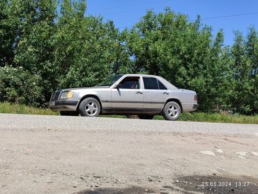 скупка каропка: Mercedes-Benz 220: 1989 г., 2.3 л, Механика, Бензин, Седан