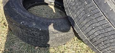 7.00 12 шина: Грузовые шины Continental Conti EcoPlus HD3 - Размер: 295/60 R22.5 - — 1
