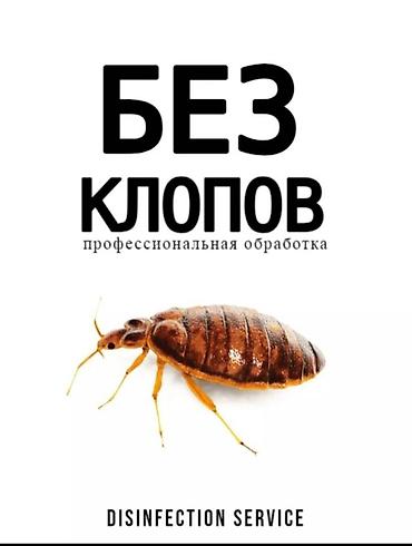 160: Дезинфекция, дезинсекция, | Клопы, Тараканы, | Квартиры, Подвал, погреб, Дома — 5