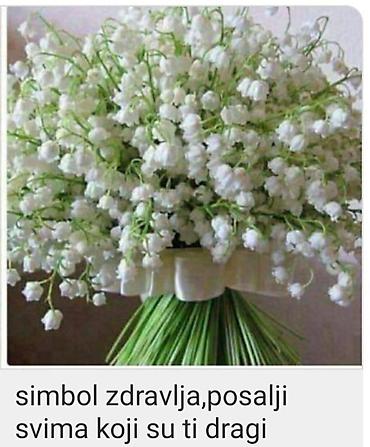 cupave jastucnice: Buket đurđevka (Convallaria majalis) – elegantna aranžmanska — 1