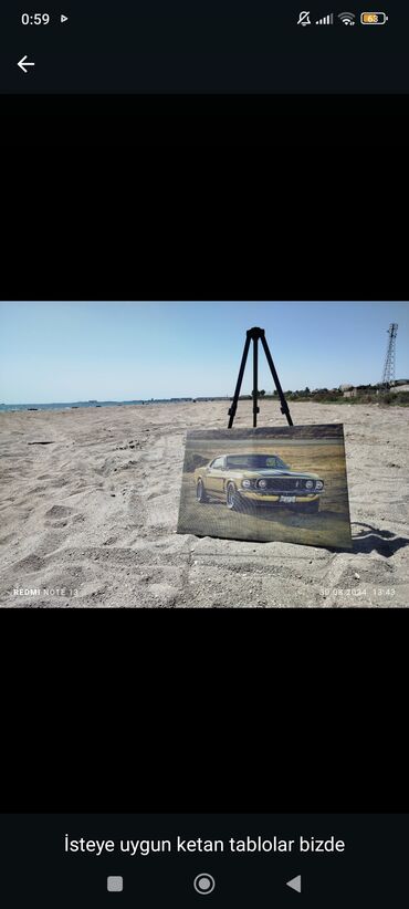 Şəkillər, tablolar: İstəyə uyğun kətan tablolar - Material: keyfiyyətli kətan (canvas) — 4