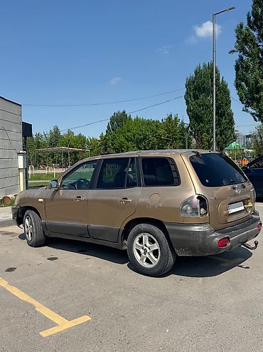 Hyundai: Hyundai Santa Fe: 2003 г., 2.7 л, Автомат, Газ, Внедорожник — 5