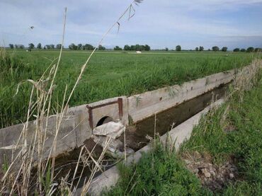 куплю участок село манас: 500 соток, Айыл чарба үчүн