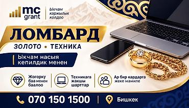 2 gr: Ломбард, Компания | Займ | Без поручителей — 1