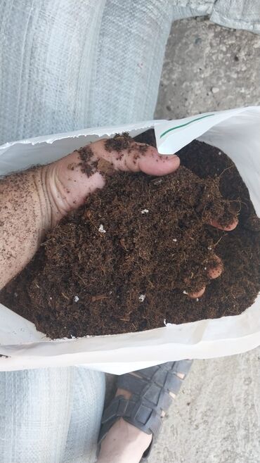 Toxumlar: Torflarin satişi balaken ekolay kkokavit 250litrlik xaricden gelen — 5