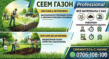 декоративные растение: Хватит косить одуванчики! Пора сеять нормальный газон! 👊🚜 Ваш участок — 1