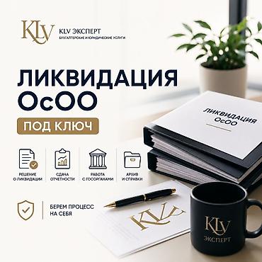 не ликвид: Бухгалтерские услуги | Ликвидация юридических лиц — 1