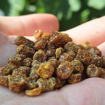 arpa unu satışı: Propolis, güləm, arı çörəyi (perqa) – təbii arıçılıq məhsulu Hər bir — 4
