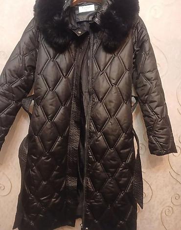 Zara, XL