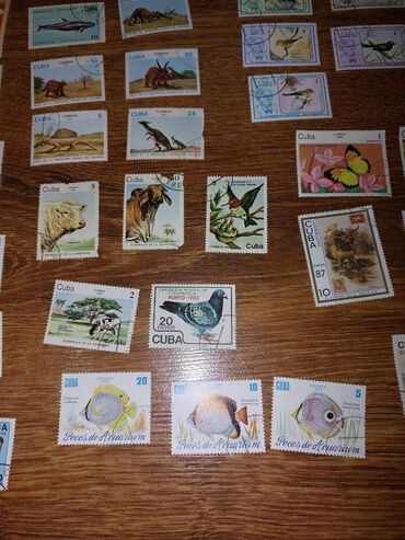 Markalar: * Sovet vaxtından qalan xarici markalar. Yeni olaraq o vaxtdan bağlı — 6