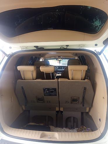 подсветка салона автомобиля: Kia Carnival: 2018 г., 2.2 л, Автомат, Дизель, Минивэн — 6