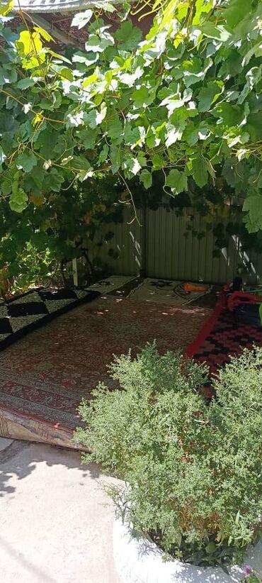 Продажа домов: Дом, 150 м², 6 комнат, Собственник, Евроремонт — 17