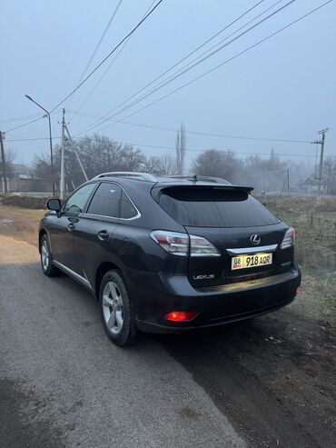 Lexus: Lexus RX: 2009 г., 3.5 л, Автомат, Бензин, Кроссовер — 3