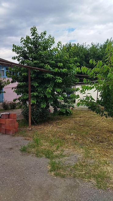 Həyət evləri və villaların satışı: Təcili satılır — 3