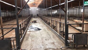 Torpaq sahələrinin satışı: 48 sot, Kənd təsərrüfatı, Makler, Kupça (Çıxarış) — 10