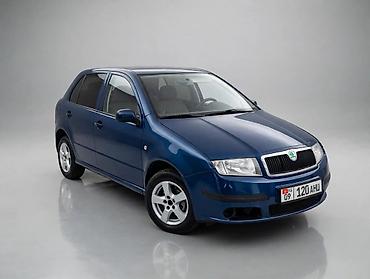 колесо для фита: Skoda Fabia: 2007 г., 1.5 л, Автомат, Бензин, Хэтчбэк — 3