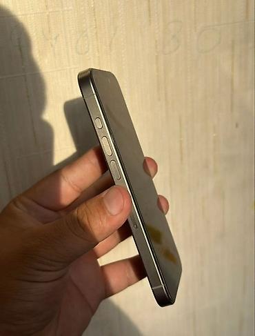 iphone c: IPhone 15 Pro, титановый корпус, цвет Natural Titanium. Комплект — 2