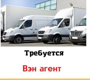 психология боюнча тесттер: Соус сатуу боюнча менеджер керек (жеке унаасы менен) 📍 Шаар ичинде