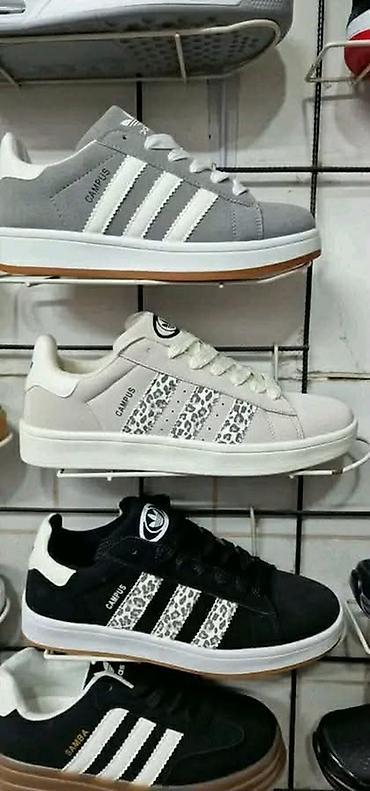 ps papuce: Campus 
od 36 do 41 
3900 din
PK🌛 — 1