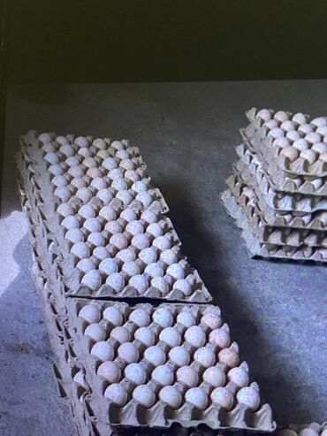 Продукты питания: Яйца СО1и СО2 оптом доставка по Джалалабадкой области