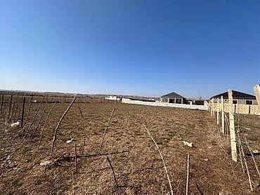 Torpaq sahələrinin satışı: 8 sot, Tikinti, Mülkiyyətçi, Kupça (Çıxarış) -da lalafo.az — 10 Torpaq sahələrinin satışı: 8 sot, Tikinti, Mülkiyyətçi, Kupça (Çıxarış) — 10