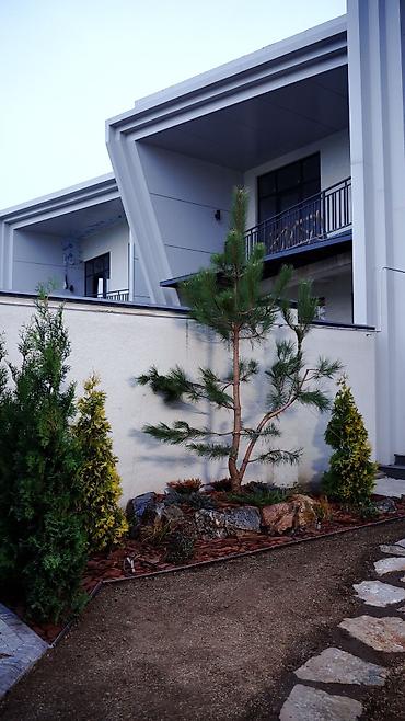 Дизайн, проектирование: Ландшафтный дизайн авто полив водопады пруды водоемы ручьи посев — 30