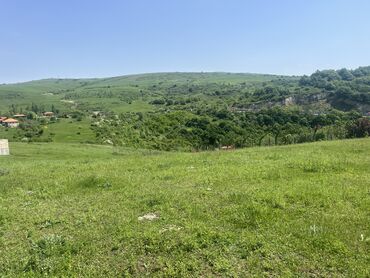 Torpaq sahələrinin satışı: 6 sot, Tikinti, Makler, Kupça (Çıxarış) — 4