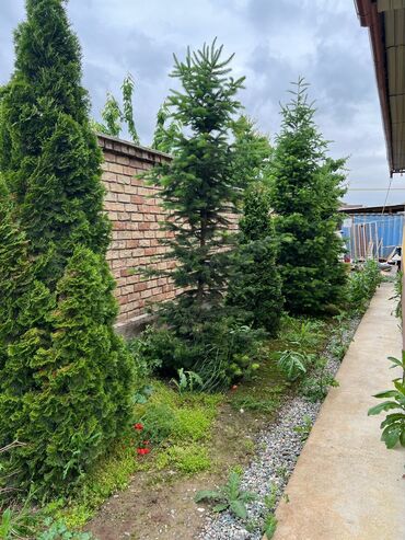 Продажа участков: 10 соток, Красная книга — 4