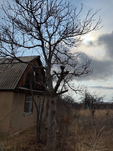 Продажа домов: Дом, 47 м², 2 комнаты, Собственник — 16