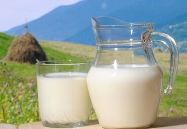 Молочные продукты и яйца: Нукра Даам. Накталай кымыз Бишкекте! Буйрутма алабыз жеткируу шаар ичи