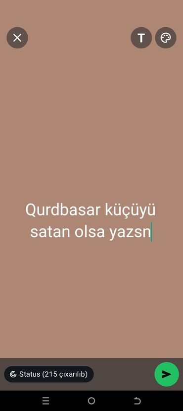 İtlər: Qurdbasar, 5 ay, Erkek, Rayonlara çatdırılma