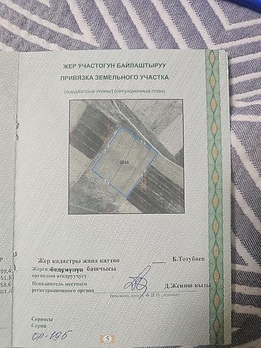 ысык куле: 2900 соток, Кызыл китеп — 3