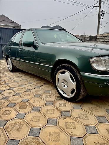 Mercedes-Benz: Mercedes-Benz S-Class: 1995 г., 4.2 л, Автомат, Бензин, Седан — 6