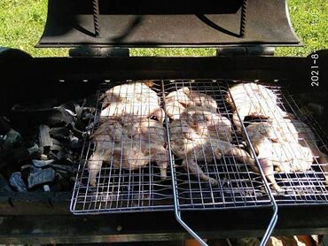 Мясо, рыба, птица: Бодоно - перепёлки для шашлыка на майские праздники. Качство хорошее