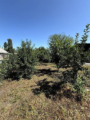 село кожомкул: 📌В селе Беловодское продаётся уютный дом с большим хозяйством на — 2