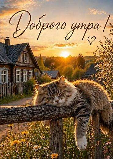 юмз эксковатор: Спец иехника — 1