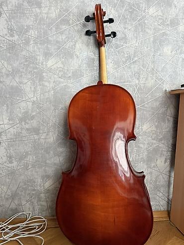 violoncel: Violoncel – klassik tərtibatlı, tam ölçülü model 3/4 olcude - — 2