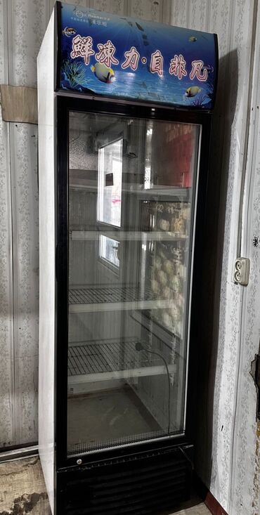 витринные холодильники бу ош: Холодильник Б/у, Однокамерный
