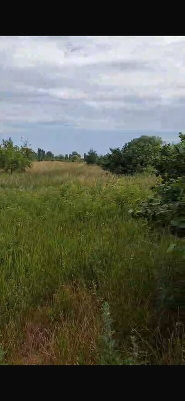Torpaq sahələrinin satışı: 150 sot, Biznes üçün, Barter mümkündür, Kupça (Çıxarış) — 5