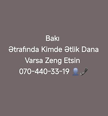 Xidmət: Bakı ərazisində ətlik dana Axtarışı 🐂 Kimdə Varsa Əlaqə